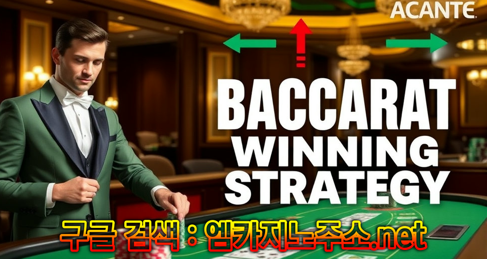 엠카지노 바카라 필승법